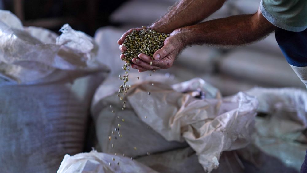 RO é Agro: ação parlamentar fomenta desenvolvimento da cultura do café em Cacoal
