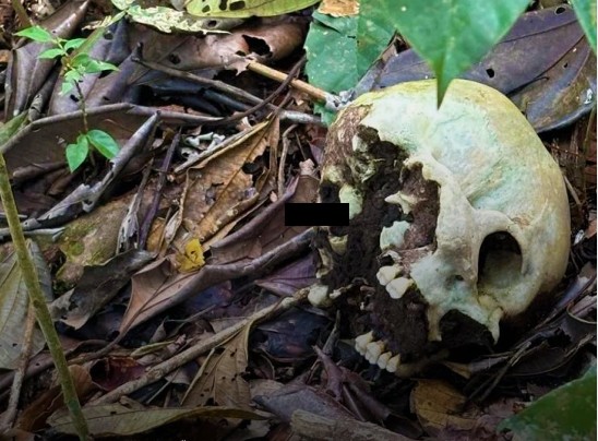 Polícia Civil de Rondônia prende suspeitos em operação Nova Realidade envolvendo crimes de estupro e homicídio