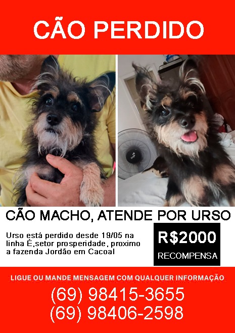 Imagem 1