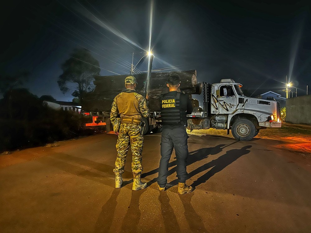 PF, Ibama, Funai e Polícia Militar atuam contra madeiros na Terra Indígena Igarapé Lage, em Rondônia  