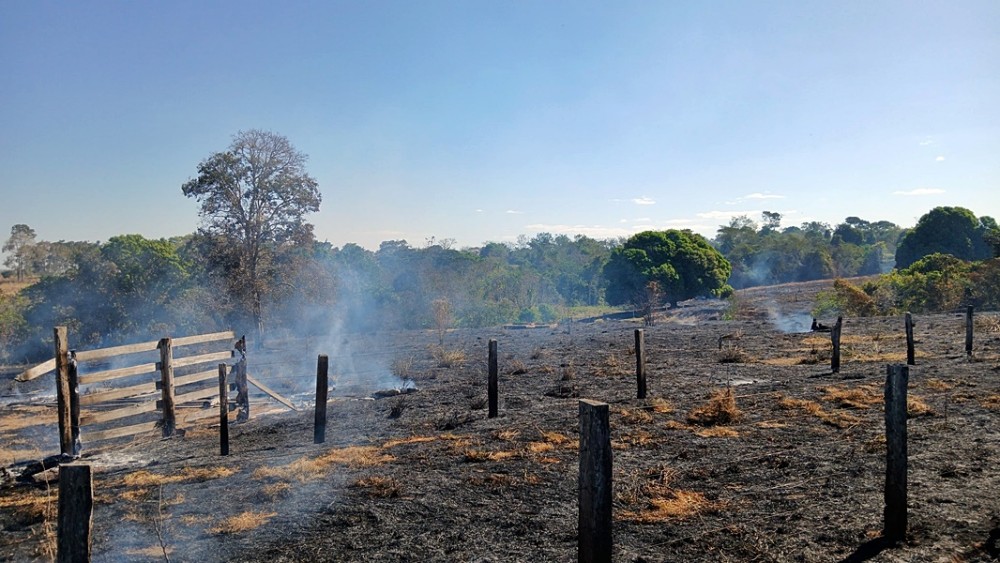 Incêndio destrói aproximadamente 20 hectares de pastagens, cercas e até um curral, na zona rural de Cacoal
