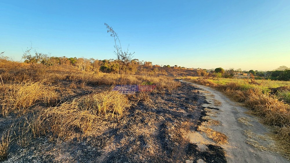 Homem é flagrado colocando fogo em terrenos e é preso em Cacoal