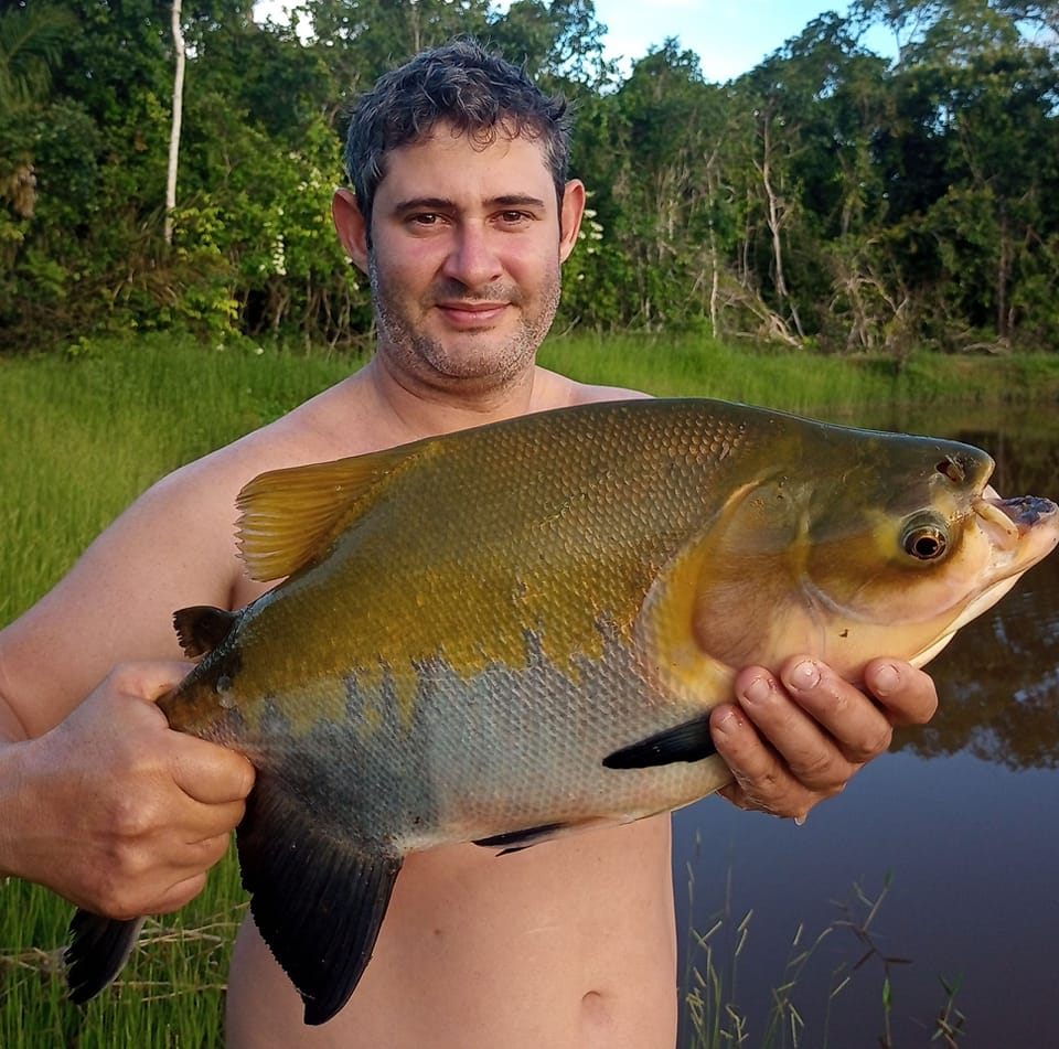 Imagem 1
