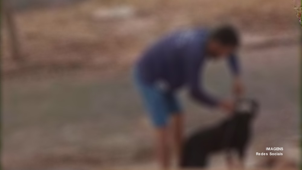 Pitbull ataca e por pouco não mata cachorro no Greenville; Imagens Fortes!