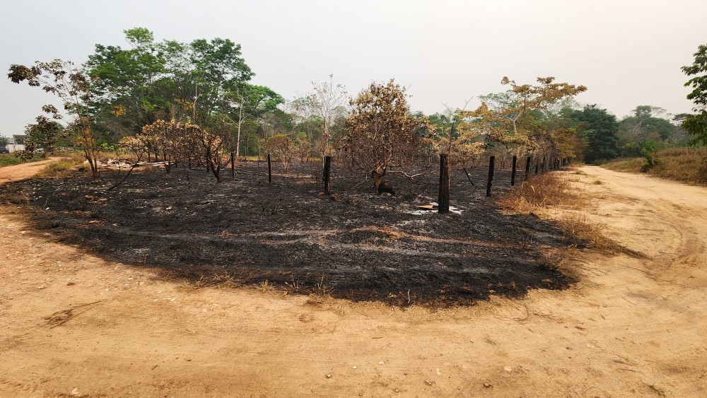 Menores de 14 e de 17 anos, são flagrados colocando fogo em área de presevação permanente em Cacoal, RO