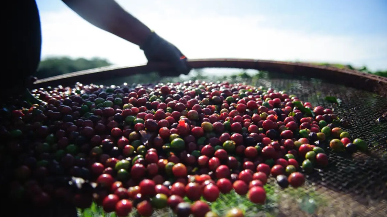 Semana acumula baixas para o café