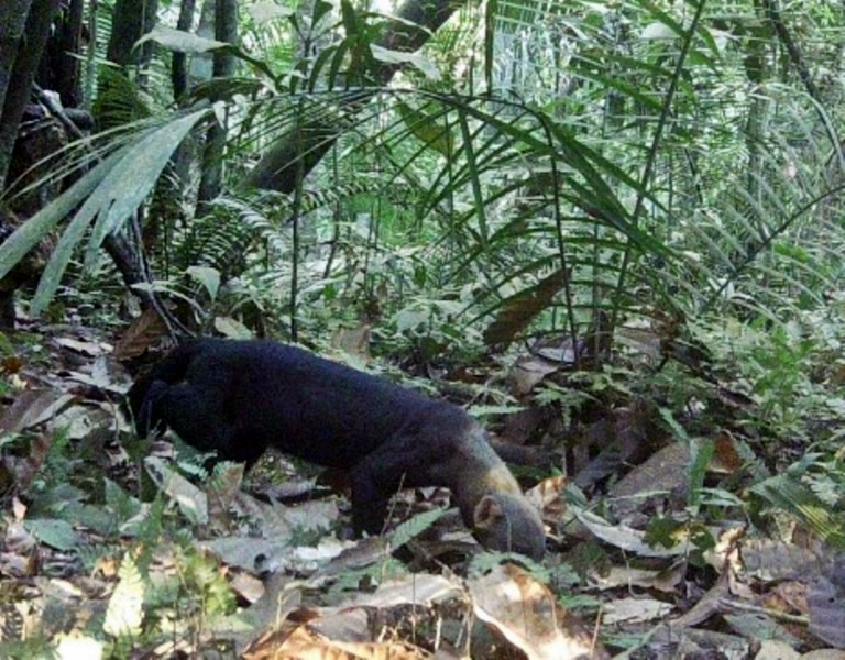 Imagem 3