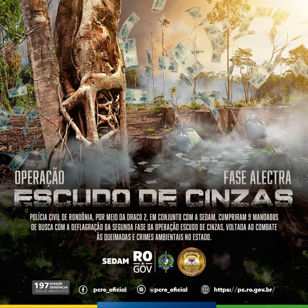 Imagem 3