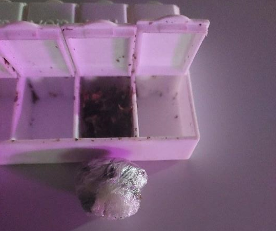 Rapaz de 21 anos é flagrado com maconha e cocaína em evento na Linha 605, em Jaru