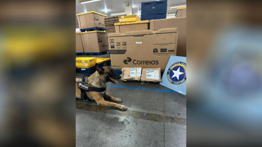 Receita Federal em Porto Velho apreende drogas nos Correios