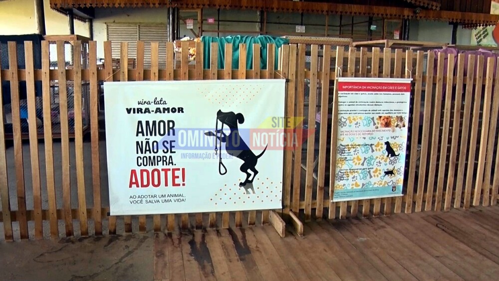 Imagem 3