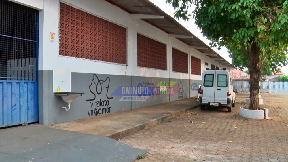 Como ajudar pessoas carentes e animais vítimas de maus tratos em Cacoal?